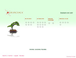 FRANCESCA Essence Of Life®